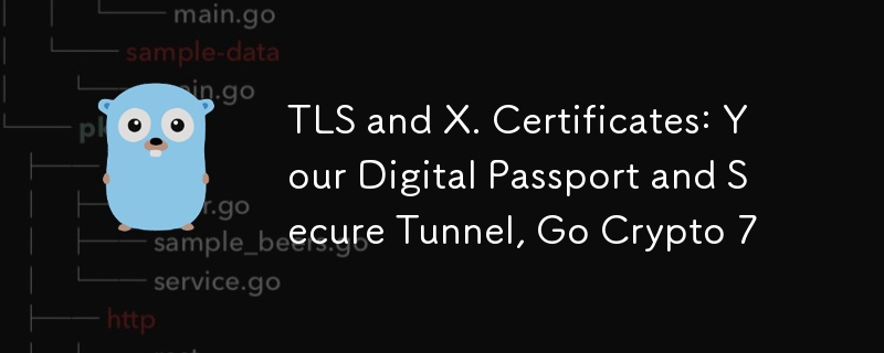 TLS 和 X. 證書：您的數位護照和安全隧道，Go Crypto 7