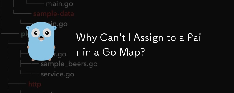 Why Can\'t I Assign to a Pair in a Go Map?