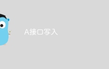 A接口写入