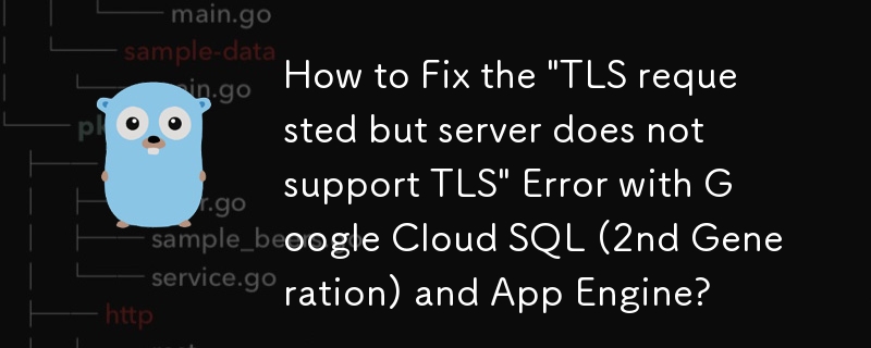 How to Fix the 'TLS requested but server does not support TLS' Error with Google Cloud SQL (2nd Generation) and App Engine?