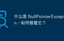 什么是 NullPointerException，如何修复它？