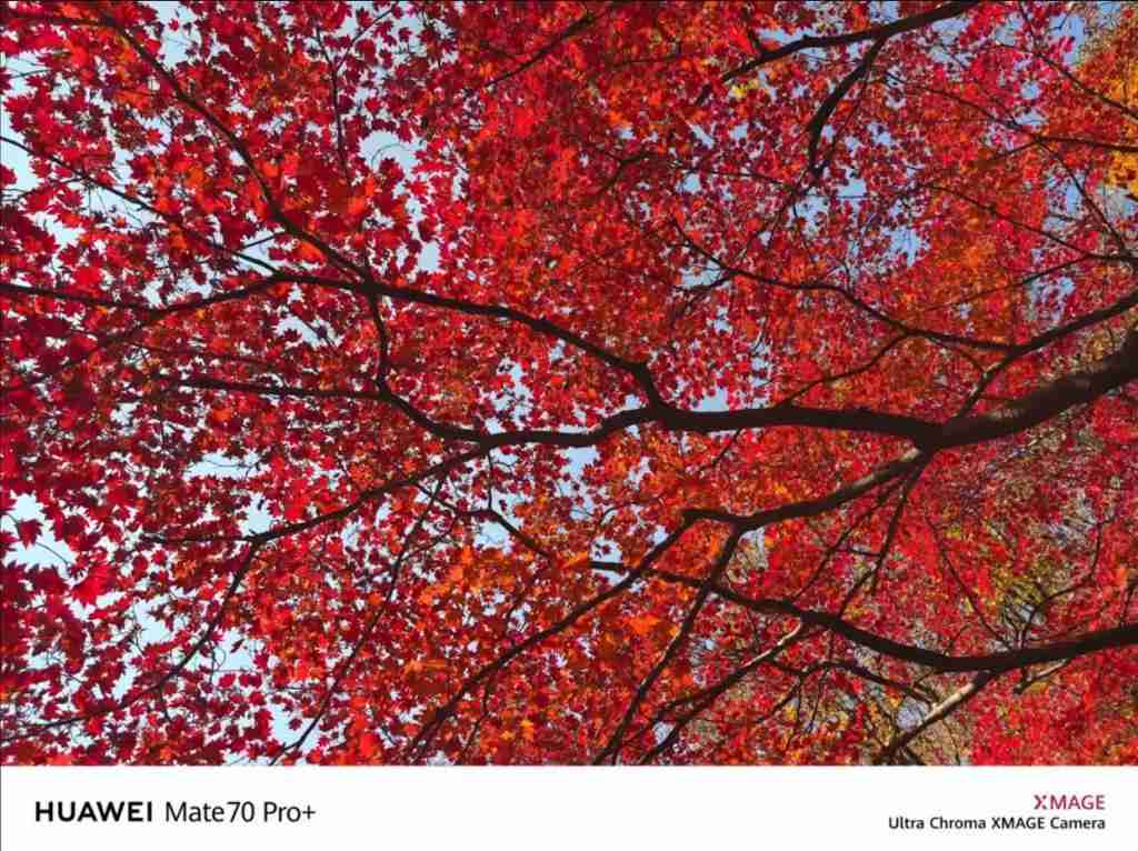  色彩准确性背后的黑科技，华为 Mate 70 或将搭载红枫原色影像 