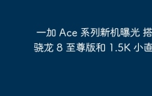 一加 Ace 系列新机曝光 搭载骁龙 8 至尊版和 1.5K 小直屏