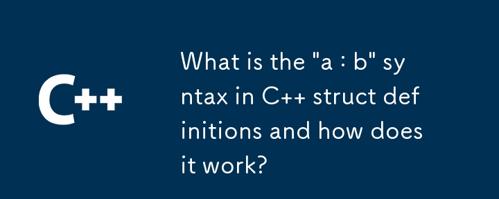 C 구조체 정의의 'a : b' 구문은 무엇이며 어떻게 작동합니까?