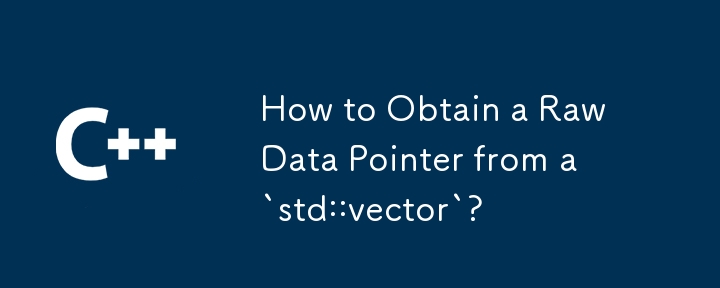 如何从`std::vector`获取原始数据指针？