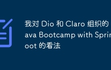 我对 Dio 和 Claro 组织的 Java Bootcamp with Spring Boot 的看法