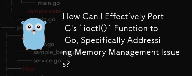 How Can I Effectively Port C\'s `ioctl()` Function to Go, Specifically Addressing Memory Management Issues?