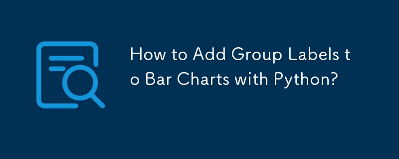 How to Add Group Labels to Bar Charts with Python?