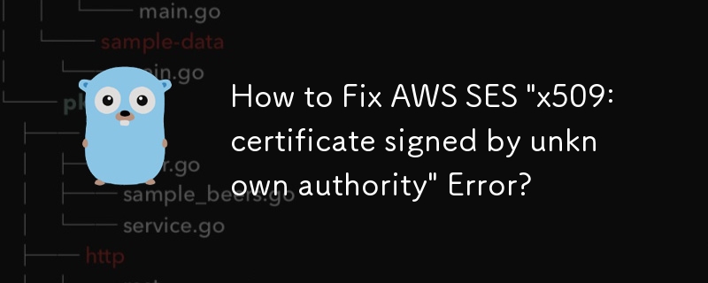 如何修复 AWS SES'x509：由未知颁发机构签名的证书”错误？