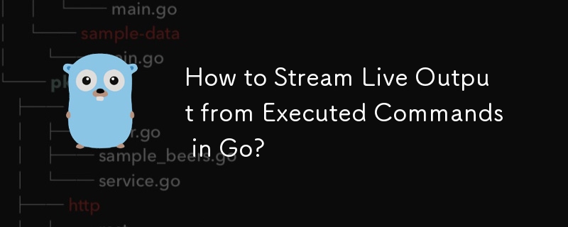 Bagaimana untuk Menstrim Output Langsung daripada Perintah yang Dilaksanakan dalam Go?