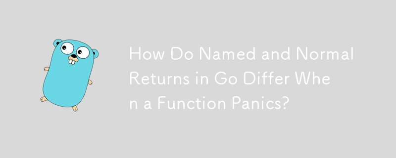 How Do Named and Normal Returns in Go Differ When a Function Panics?