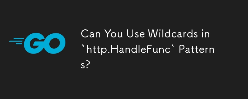 您可以在'http.HandleFunc”模式中使用通配符吗？