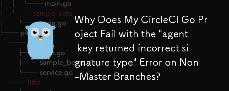 Pourquoi mon projet CircleCI Go échoue-t-il avec l'erreur « La clé d'agent a renvoyé un type de signature incorrect » sur les branches non principales ?