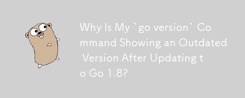 Why Is My `go version` Command Showing an Outdated Version After Updating to Go 1.8?