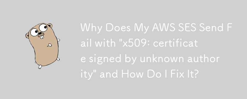Mengapa Hantar AWS SES Saya Gagal dengan \'x509: sijil yang ditandatangani oleh pihak berkuasa yang tidak diketahui\' dan Bagaimana Saya Membetulkannya?