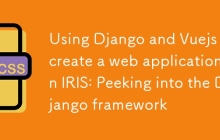 Using Django and Vuejs to create a web application on IRIS: Peeking into the Django framework