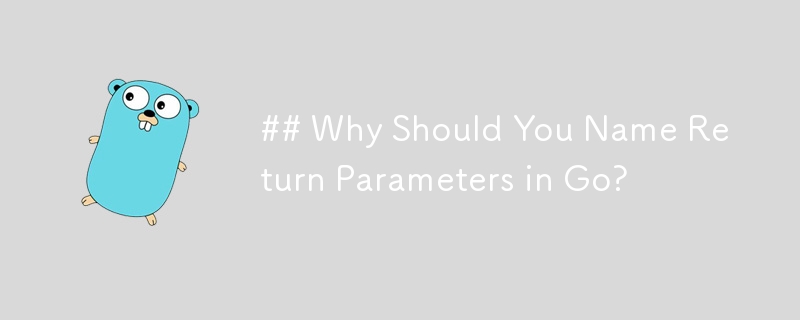 Why Should You Name Return Parameters in Go?