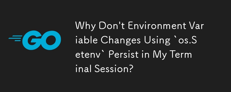 為什麼使用 `os.Setenv` 進行的環境變數變更不會保留在我的終端會話中？