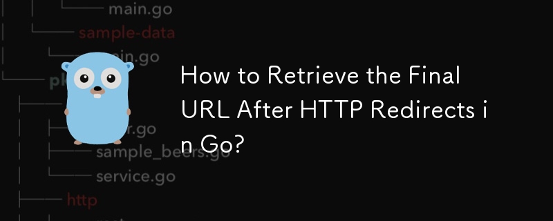 如何在 Go 中检索 HTTP 重定向后的最终 URL？