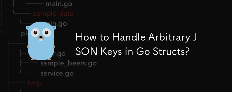 Go 構造体で任意の JSON キーを処理するにはどうすればよいですか?