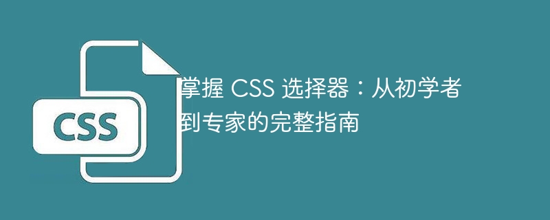 掌握 CSS 选择器：从初学者到专家的完整指南
