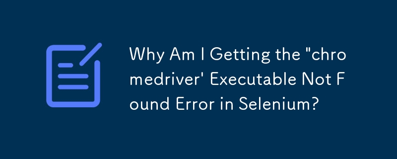 Selenium で「chromedriver」実行可能ファイルが見つからないというエラーが発生するのはなぜですか?