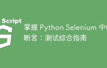 掌握 Python Selenium 中的断言：测试综合指南