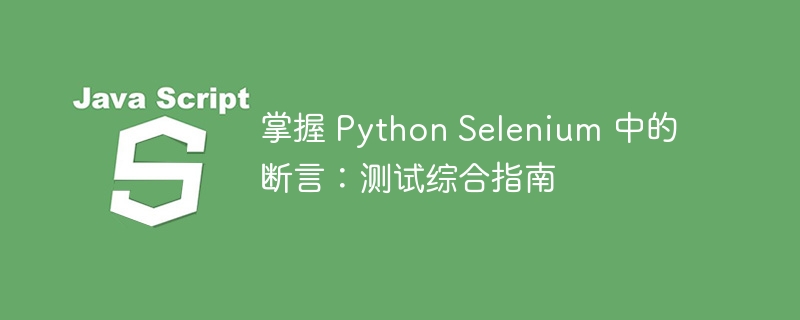 掌握 Python Selenium 中的断言：测试综合指南