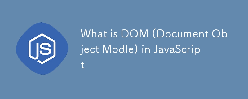 JavaScript 中的 DOM（文件物件模型）是什麼