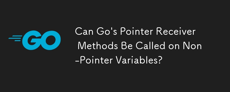 포인터가 아닌 변수에서 Go의 포인터 수신기 메서드를 호출할 수 있나요?