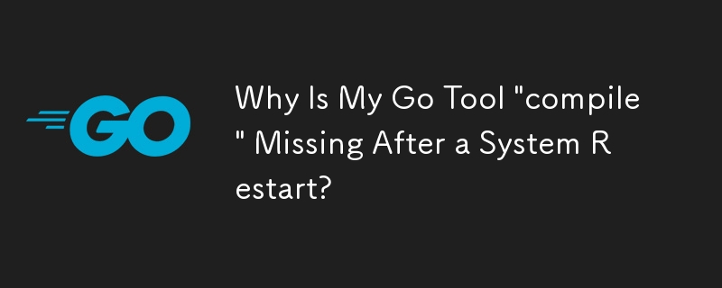 Pourquoi mon outil Go « compiler » est-il manquant après un redémarrage du système ?