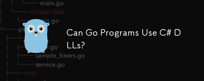 Go 程式可以使用 C# DLL 嗎？