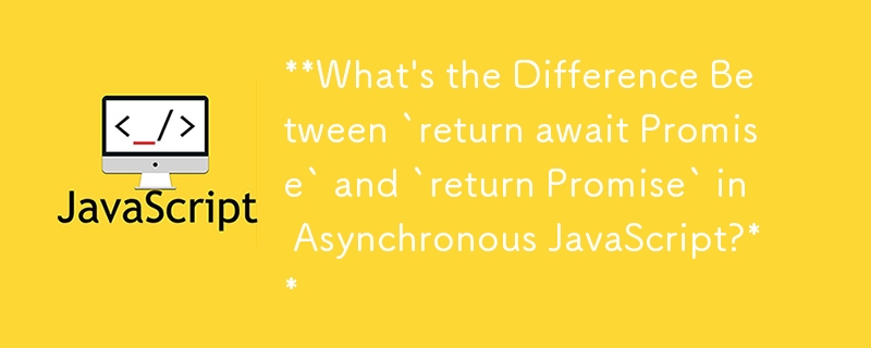 非同步 JavaScript 中的 `return wait Promise` 和 `return Promise` 有什麼不同？