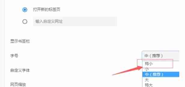 谷歌浏览器怎么修改浏览器字号大小-谷歌浏览器修改浏览器字号大小的方法