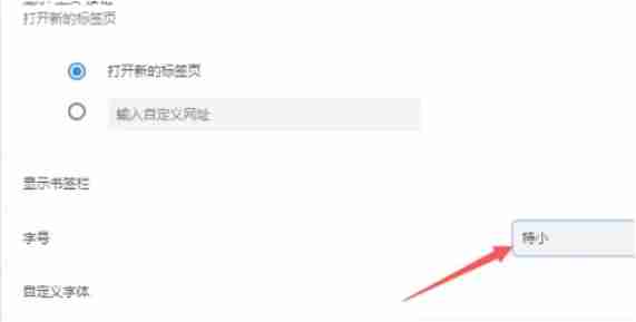 谷歌浏览器怎么修改浏览器字号大小-谷歌浏览器修改浏览器字号大小的方法