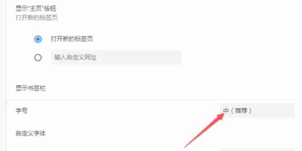 谷歌浏览器怎么修改浏览器字号大小-谷歌浏览器修改浏览器字号大小的方法