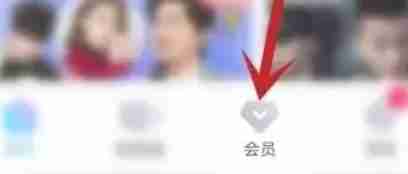 优酷怎么取消会员连续包月-优酷取消会员连续包月的方法