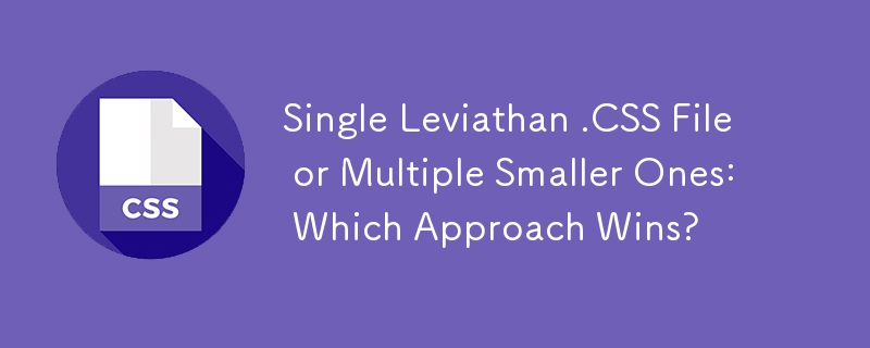 Single Leviathan .CSS File or Multiple Smaller Ones: Which Approach Wins?