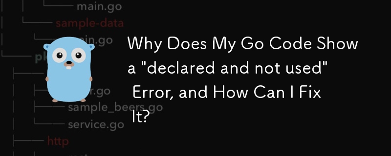 Why Does My Go Code Show a \'declared and not used\' Error, and How Can I Fix It?