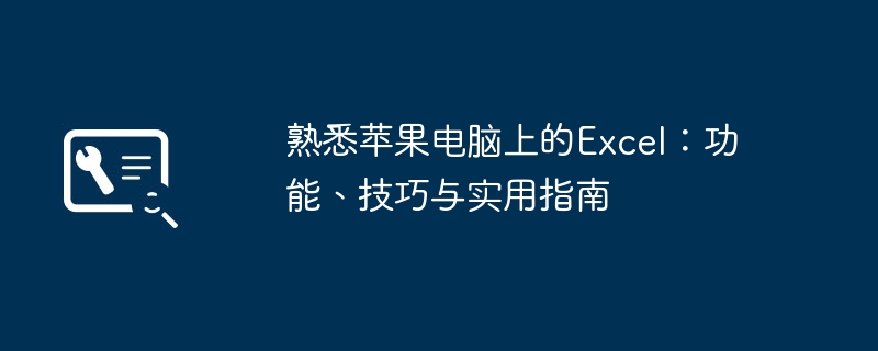 熟悉苹果电脑上的Excel:功能、技巧与实用指南