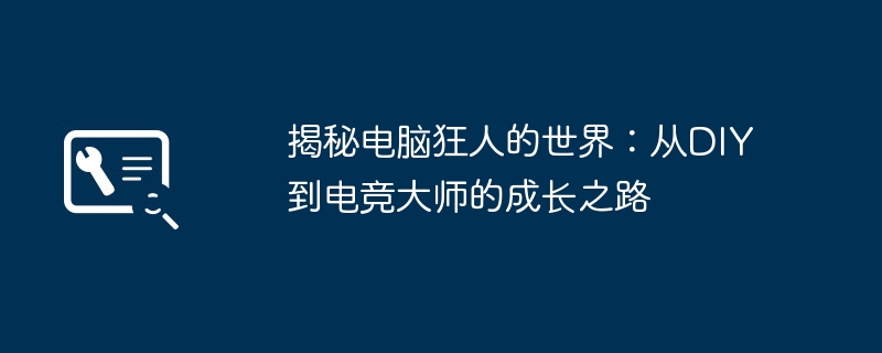 揭秘电脑狂人的世界：从DIY到电竞大师的成长之路