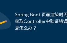 Spring Boot 页面渲染时无法获取Controller中验证错误信息怎么办？