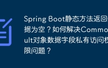 Spring Boot静态方法返回数据为空？如何解决CommonResult对象数据字段私有访问权限问题？