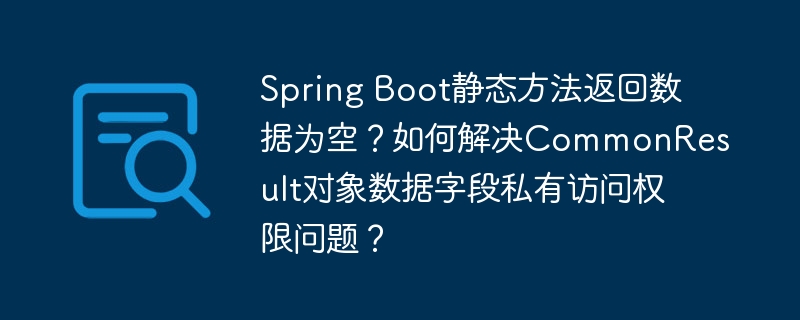 Spring Boot静态方法返回数据为空？如何解决CommonResult对象数据字段私有访问权限问题？ - 小浪资源网