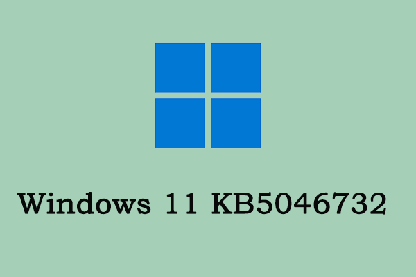 新しい改良が加えられた Windows 11 KB5046732: インストール方法?