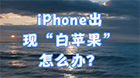 iPhone白苹果无法开机?怎么解决?速看!