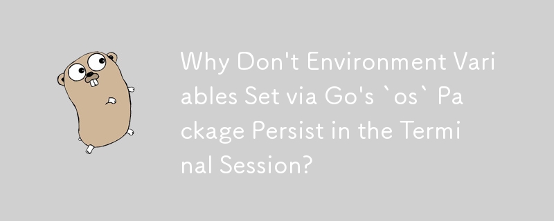 Why Don\'t Environment Variables Set via Go\'s `os` Package Persist in the Terminal Session?