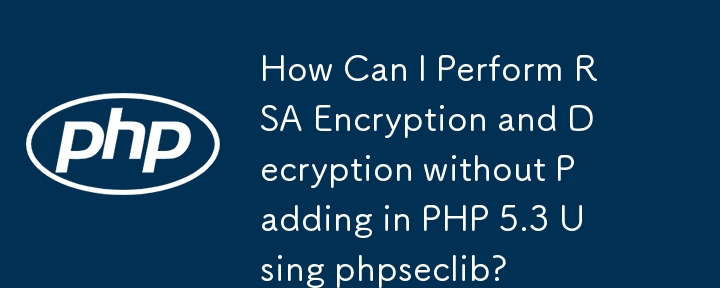 How Can I Perform RSA Encryption and Decryption without Padding in PHP 5.3 Using phpseclib?