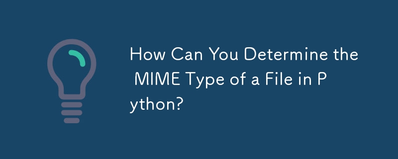 如何在 Python 中確定檔案的 MIME 類型？