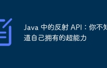 Java 中的反射 API：你不知道自己拥有的超能力